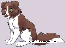 Pet