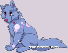 Pet