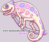 Pet