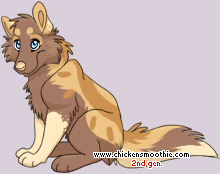Pet