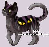 Pet