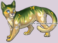 Pet