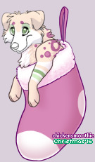 Pet