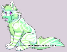 Pet