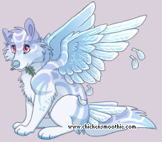 Pet