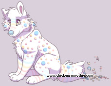 Pet