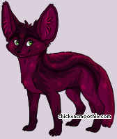 Pet