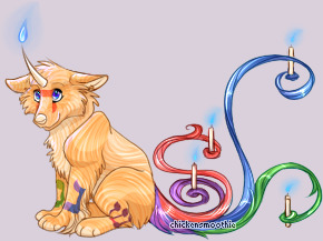 Pet