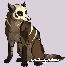 Pet