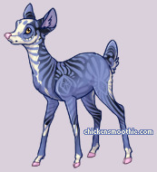 Pet
