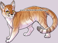 Pet