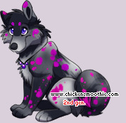 Pet