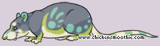 Pet