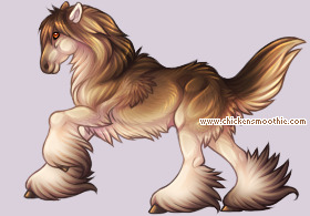 Pet