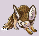Pet