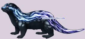 Pet