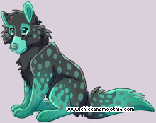 Pet