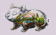 Pet