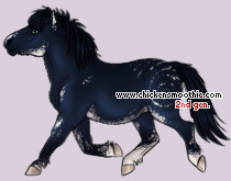 Pet