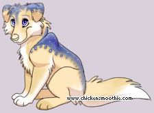 Pet