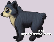 Pet