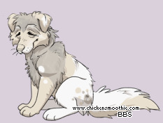 Pet