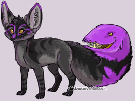Pet