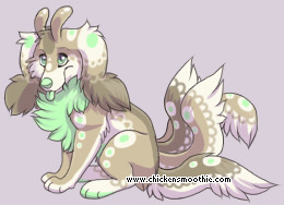 Pet
