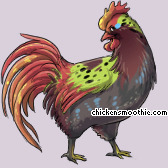 Pet