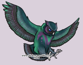 Pet