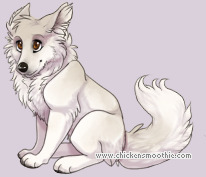 Pet