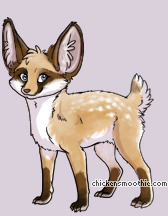 Pet