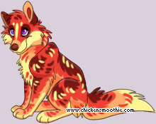 Pet