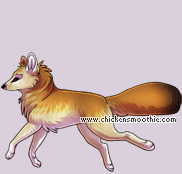 Pet