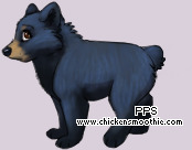 Pet