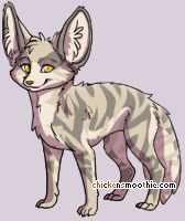 Pet