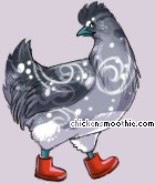 Pet