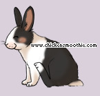 Pet