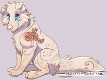 Pet