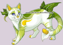 Pet