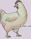 Pet