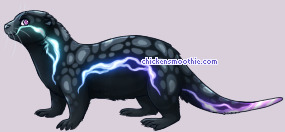 Pet