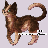Pet