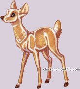Pet