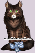 Pet