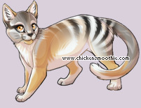 Pet