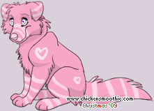 Pet