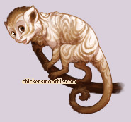 Pet