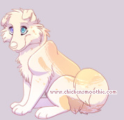 Pet