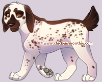Pet